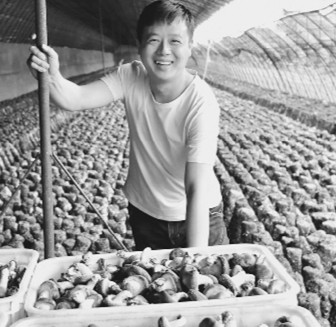 发展香菇产业引领村民致富
